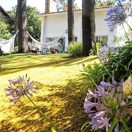 Cabedelo Beach House Viana do Castelo Exteriér fotografie